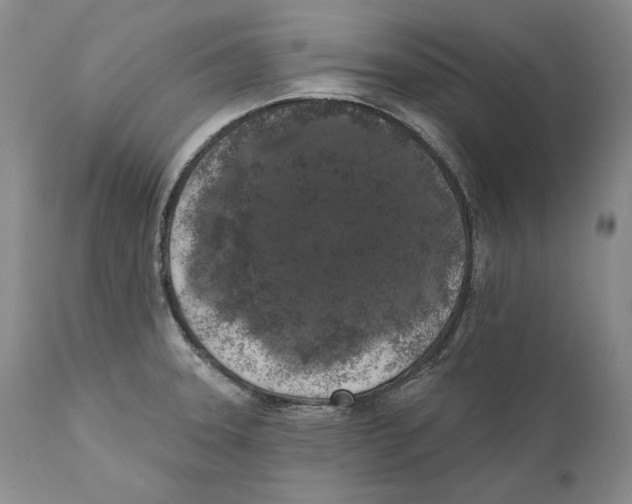 X0000110761331200907131200