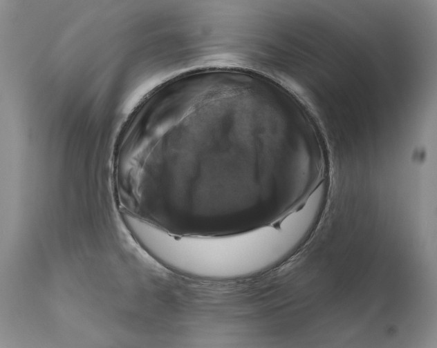 X0000110761334200907131200