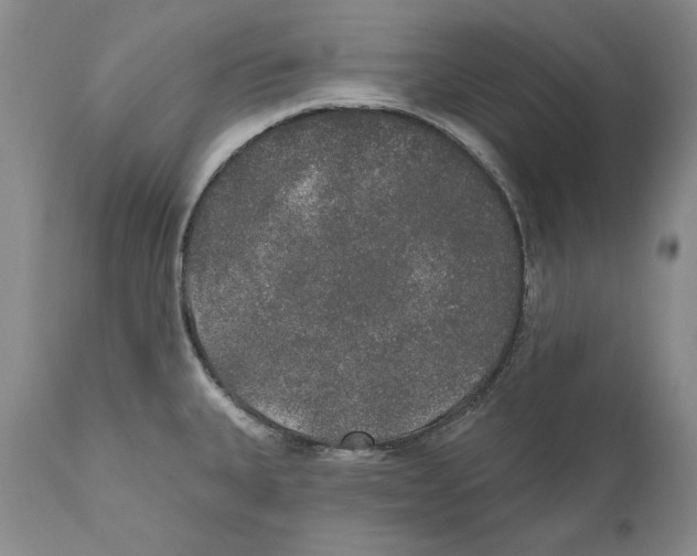 X0000110761335200907131200