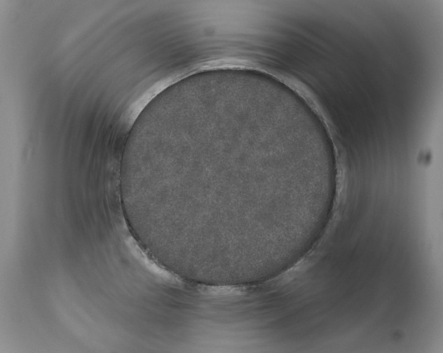 X0000110761337200907131200