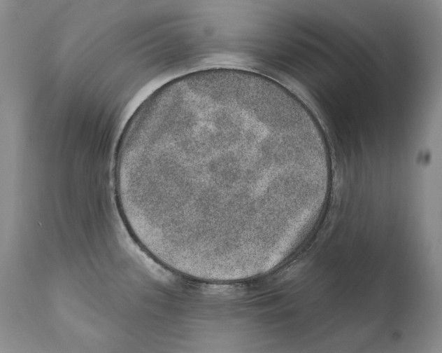 X0000110761339200907131200