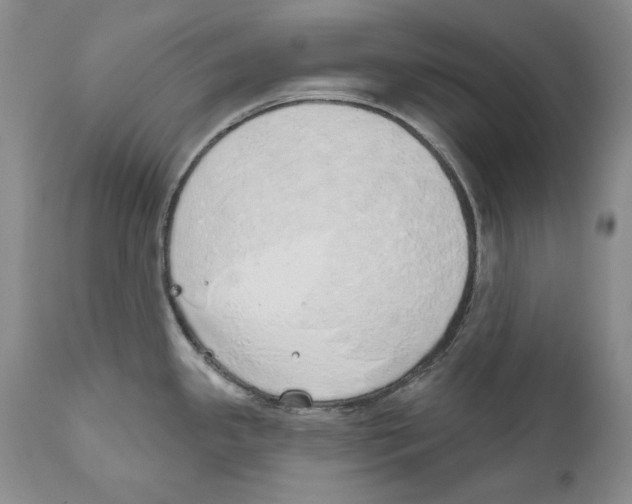X0000110761341200907131200