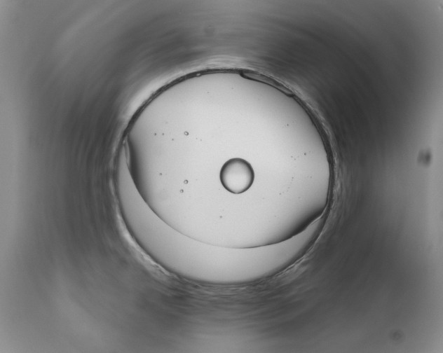 X0000110761342200907131200
