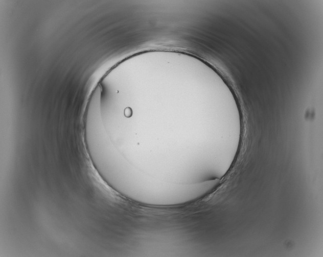 X0000110761344200907131200