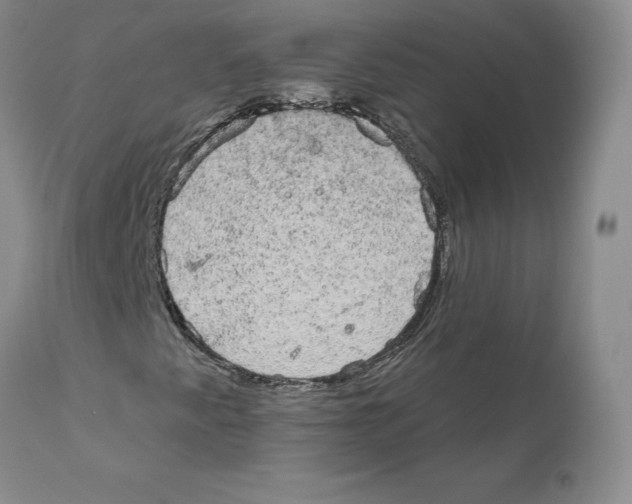 X0000110761345200907131200