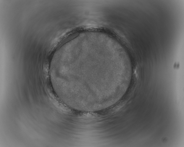 X0000110761348200907131200