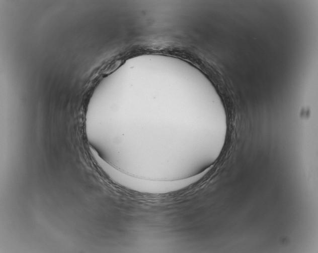 X0000110761349200907131159