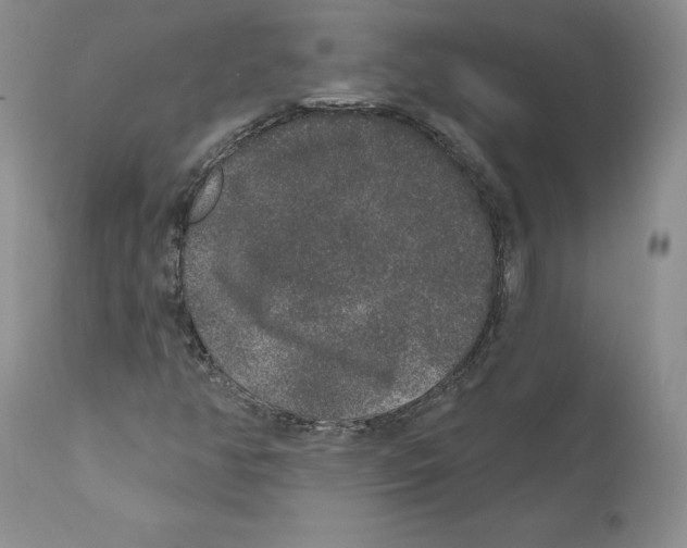 X0000110761350200907131159