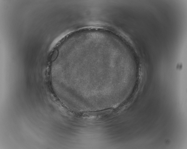 X0000110761352200907131159