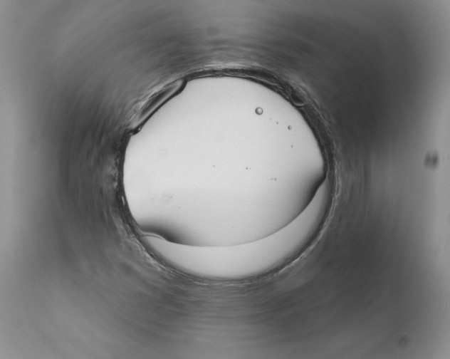X0000110761353200907131159