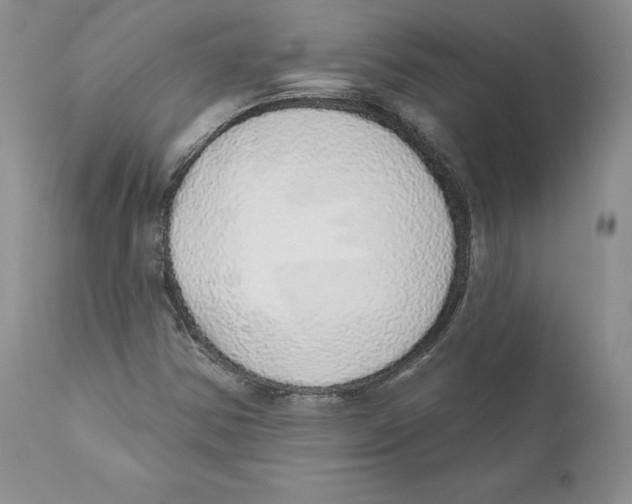 X0000110761354200907131159