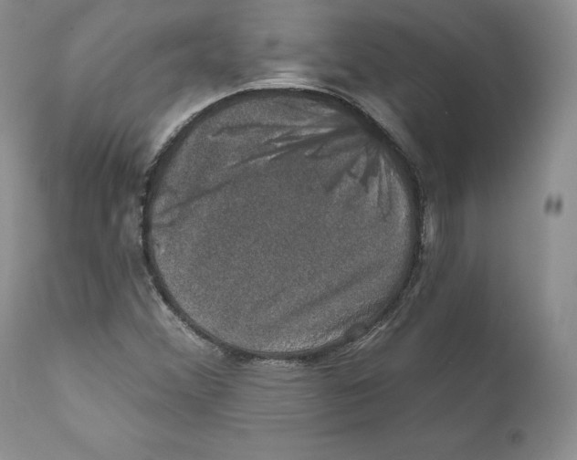 X0000110761356200907131159