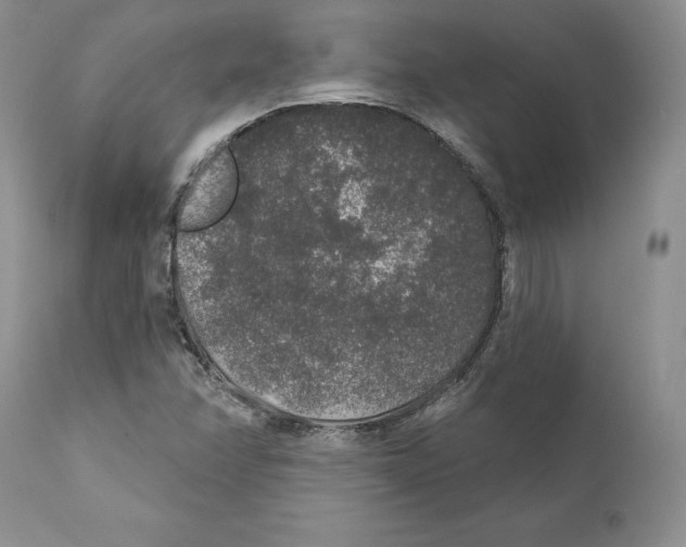 X0000110761358200907131159