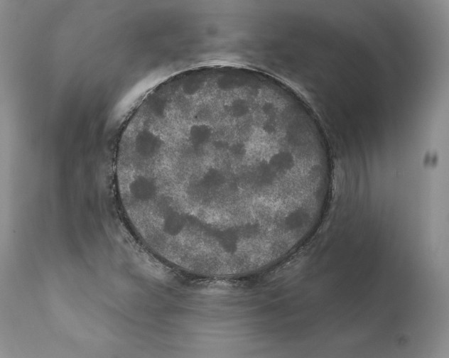 X0000110761359200907131159