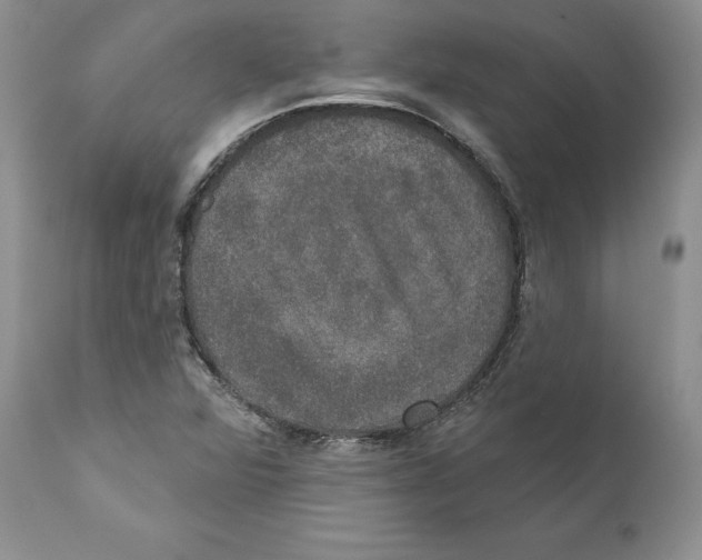 X0000110761360200907131159