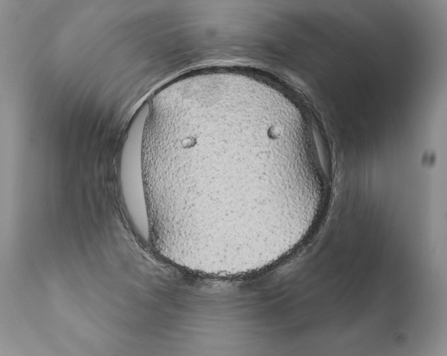 X0000110761361200907131159