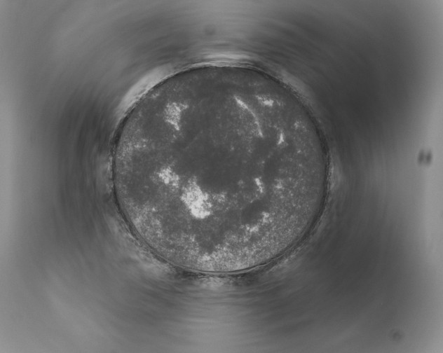 X0000110761362200907131159