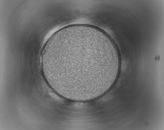 X0000110761366200907131159