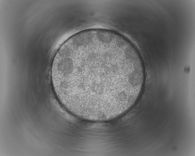 X0000110761367200907131159