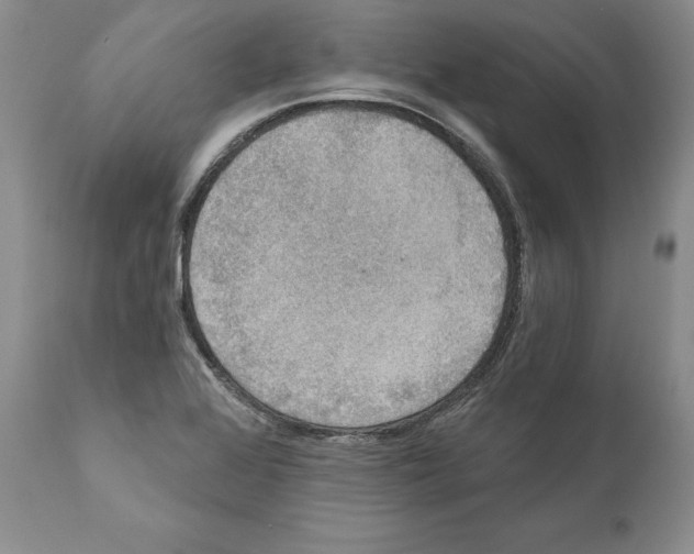X0000110761368200907131159