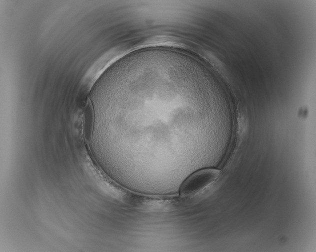 X0000110761369200907131159