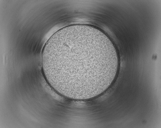 X0000110761370200907131159