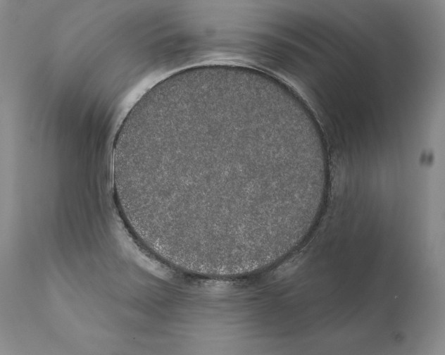 X0000110761371200907131159