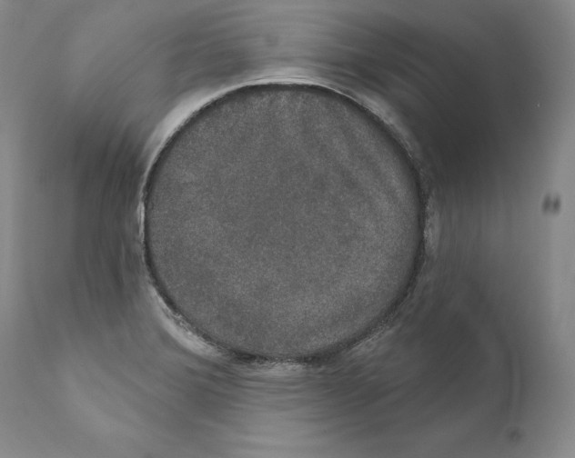 X0000110761372200907131159