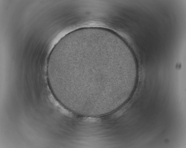 X0000110761374200907131159