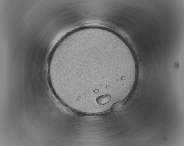 X0000110761376200907131159