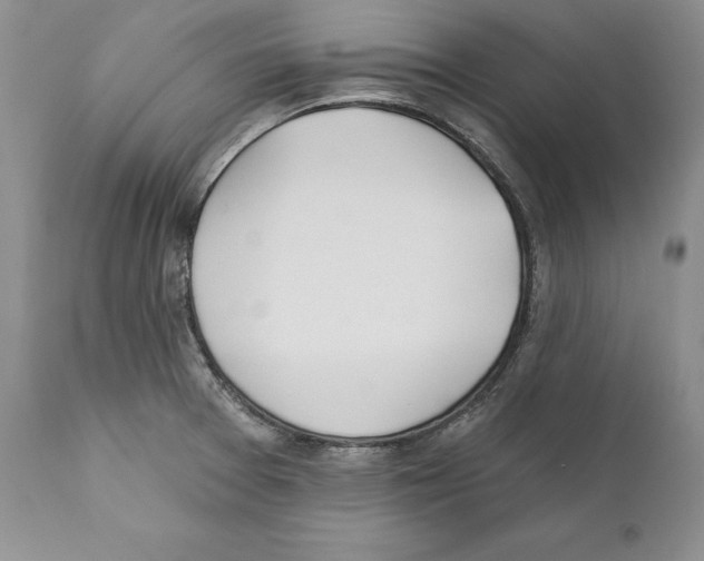 X0000110761377200907131159