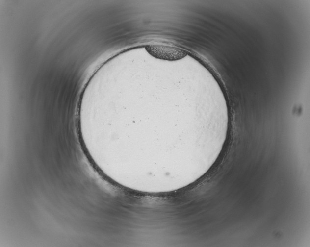 X0000110761379200907131159