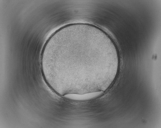 X0000110761380200907131159