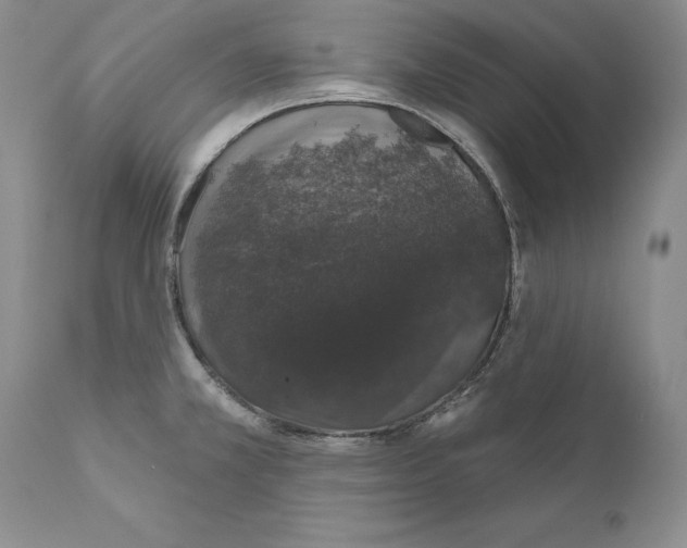 X0000110761381200907131159