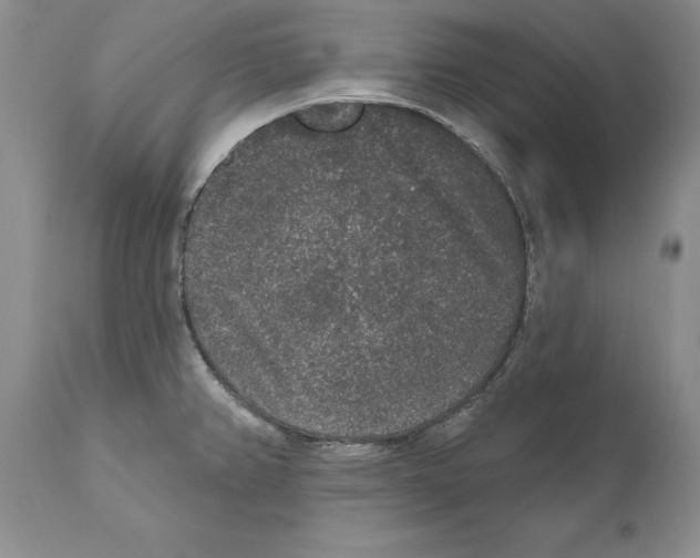 X0000110761382200907131159
