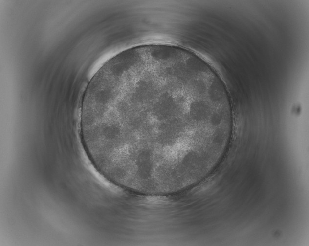 X0000110761383200907131159