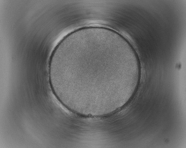 X0000110761384200907131159