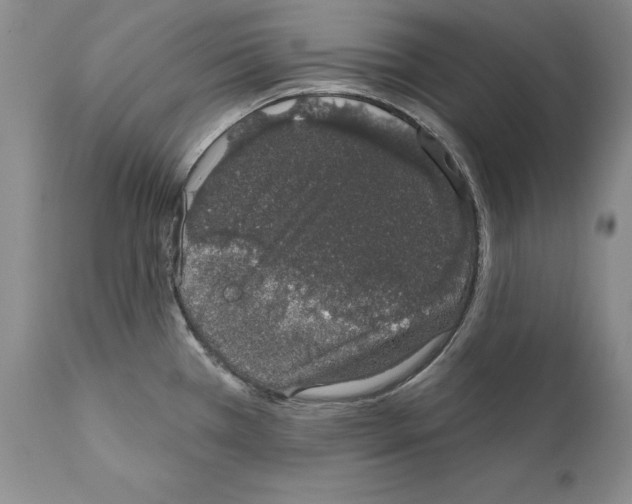 X0000110761385200907131159