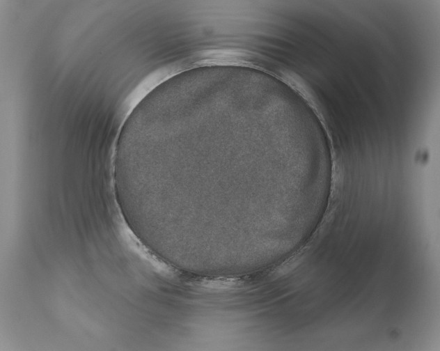 X0000110761386200907131159