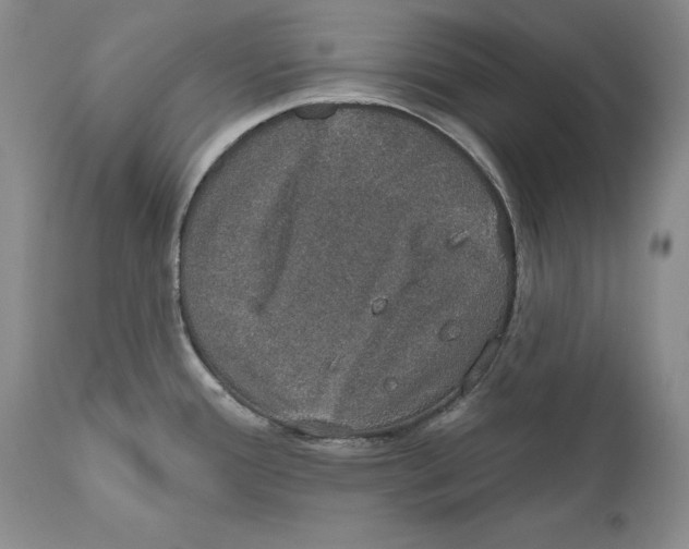 X0000110761388200907131159
