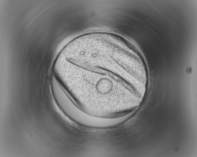 X0000110761389200907131159