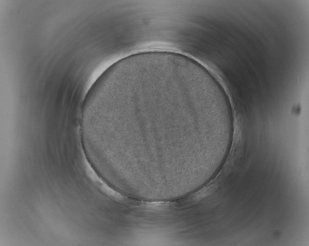X0000110761390200907131159