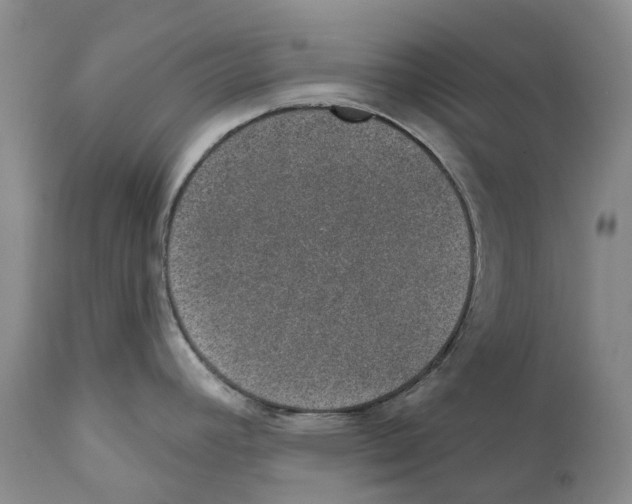 X0000110761392200907131159