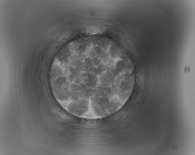X0000110761393200907131158