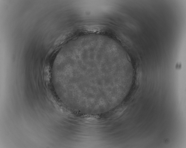 X0000110761394200907131158