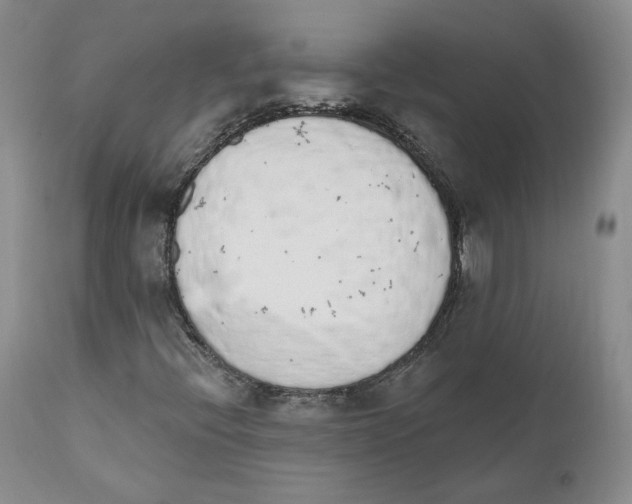 X0000110761396200907131158