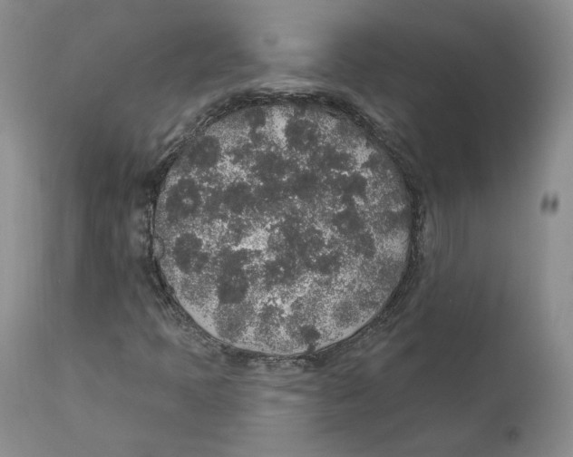 X0000110761397200907131158