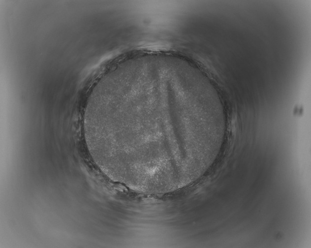 X0000110761398200907131158