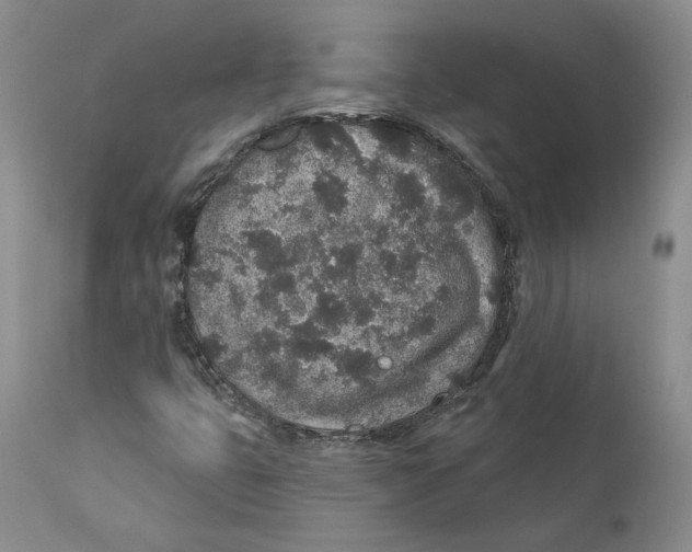 X0000110761399200907131158
