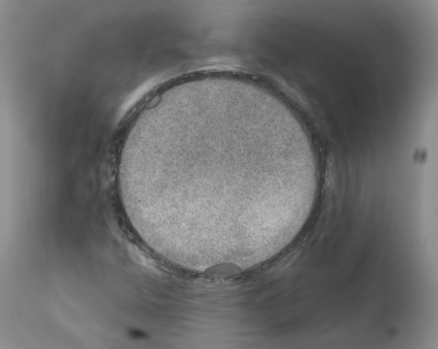 X0000110761400200907131158